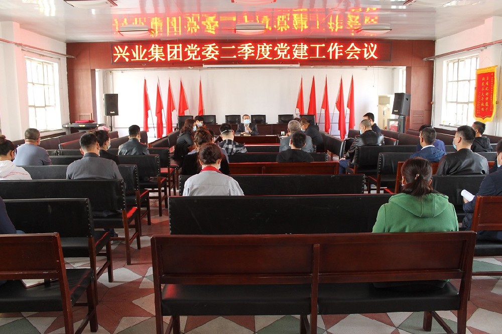 興業(yè)集團黨委召開二季度黨建工作會議